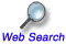 web search